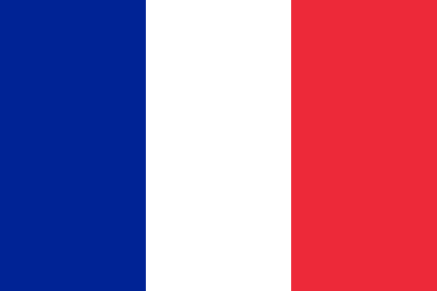 France Flag Logo PNG Download