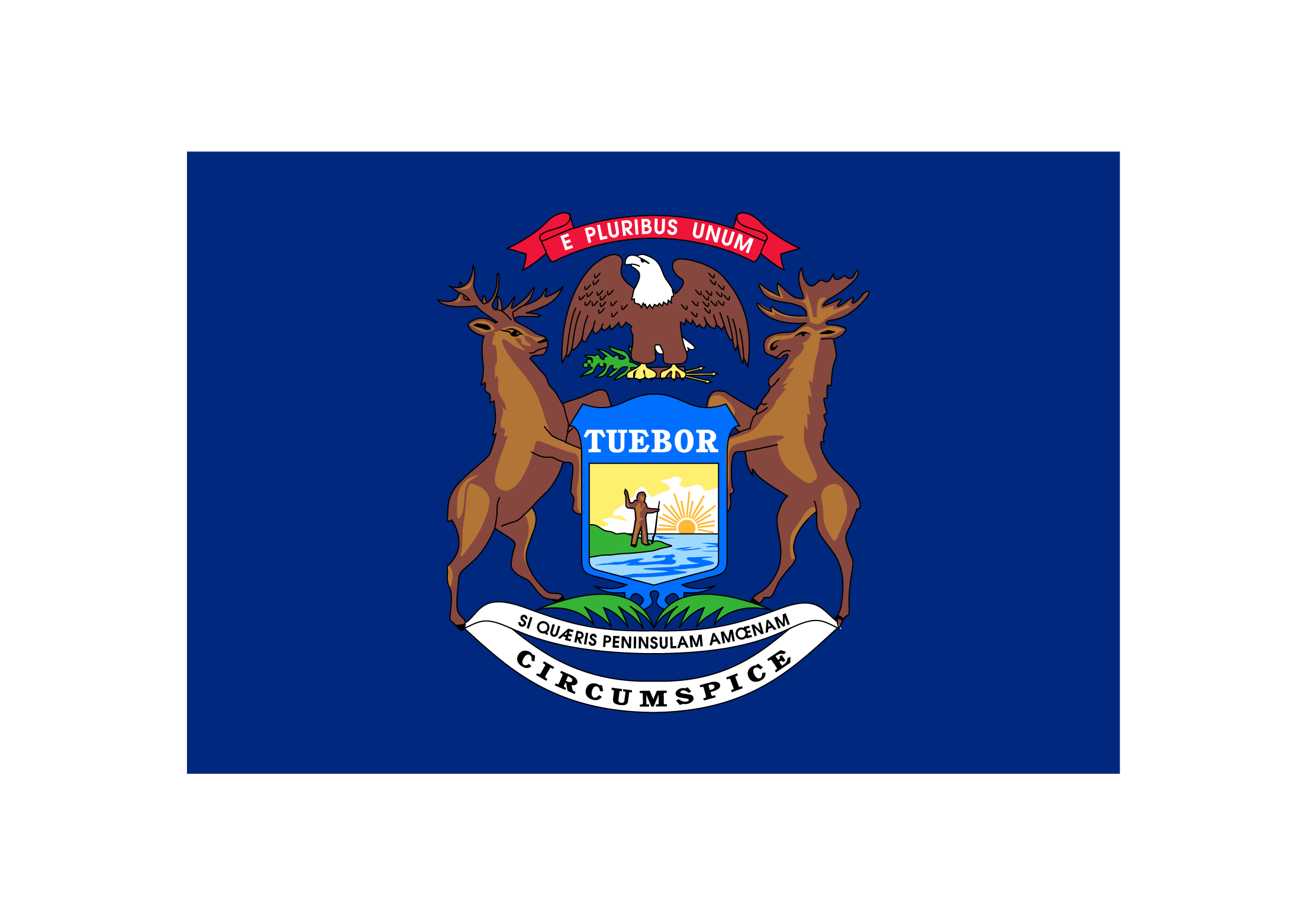 Michigan Flag Logo PNG Download