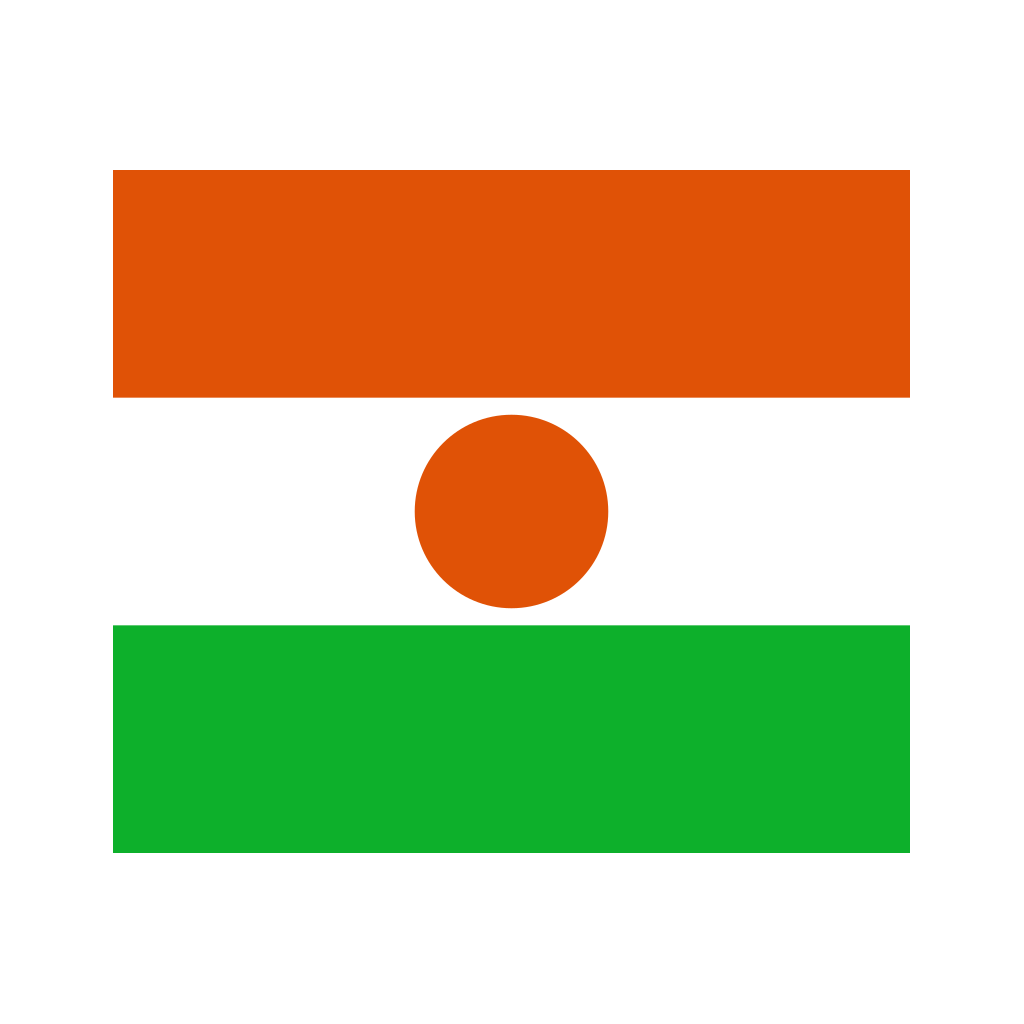 Niger Flag Logo PNG Download