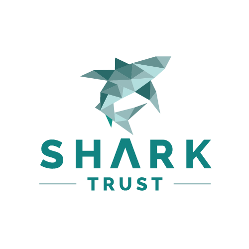 Shark Trust Logo PNG Download