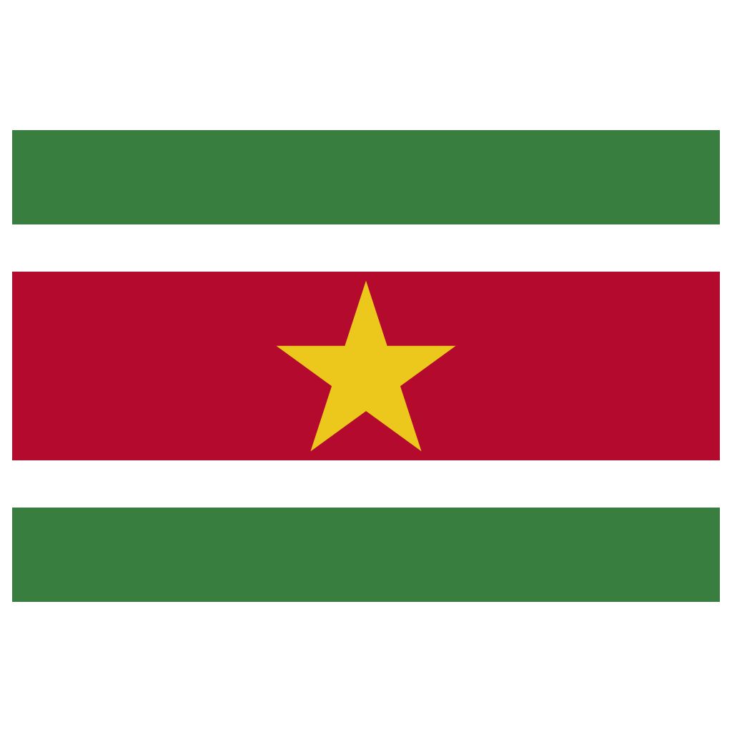 Suriname Flag Logo PNG Download