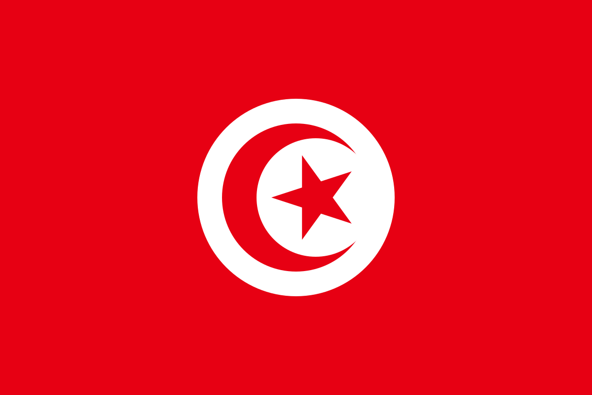Tunisia Flag Logo PNG Download