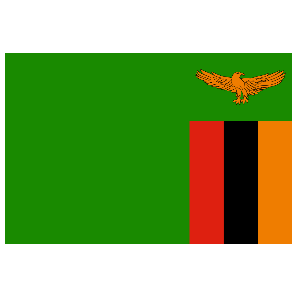 Zambia Flag Logo PNG Download