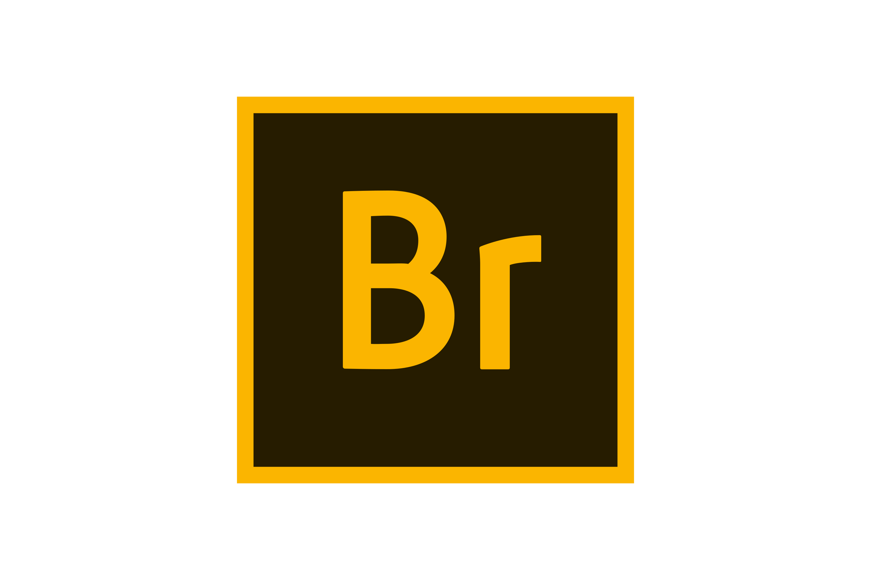 Adobe Bridge Logo PNG Download