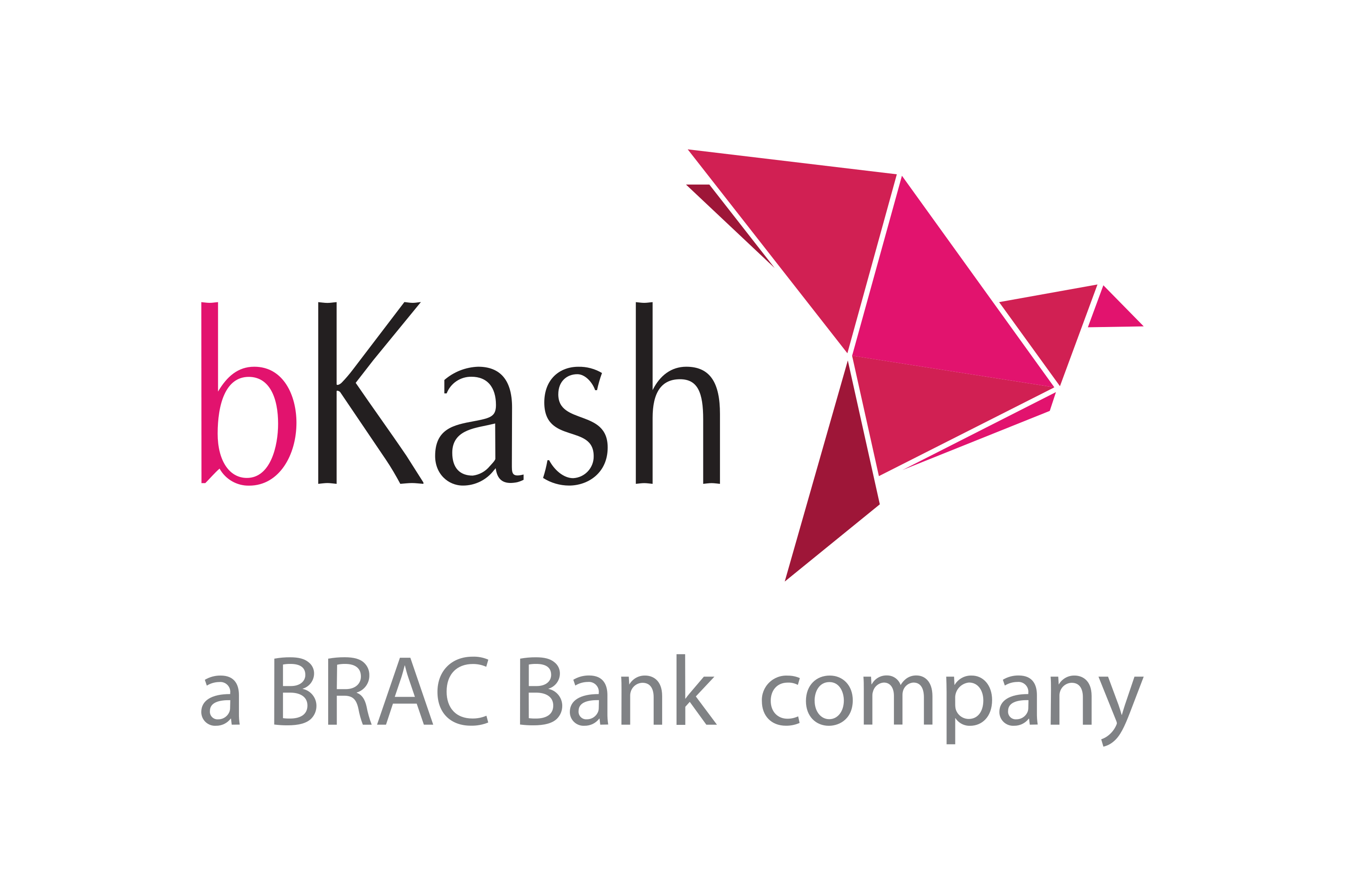 BKash Logo PNG Download