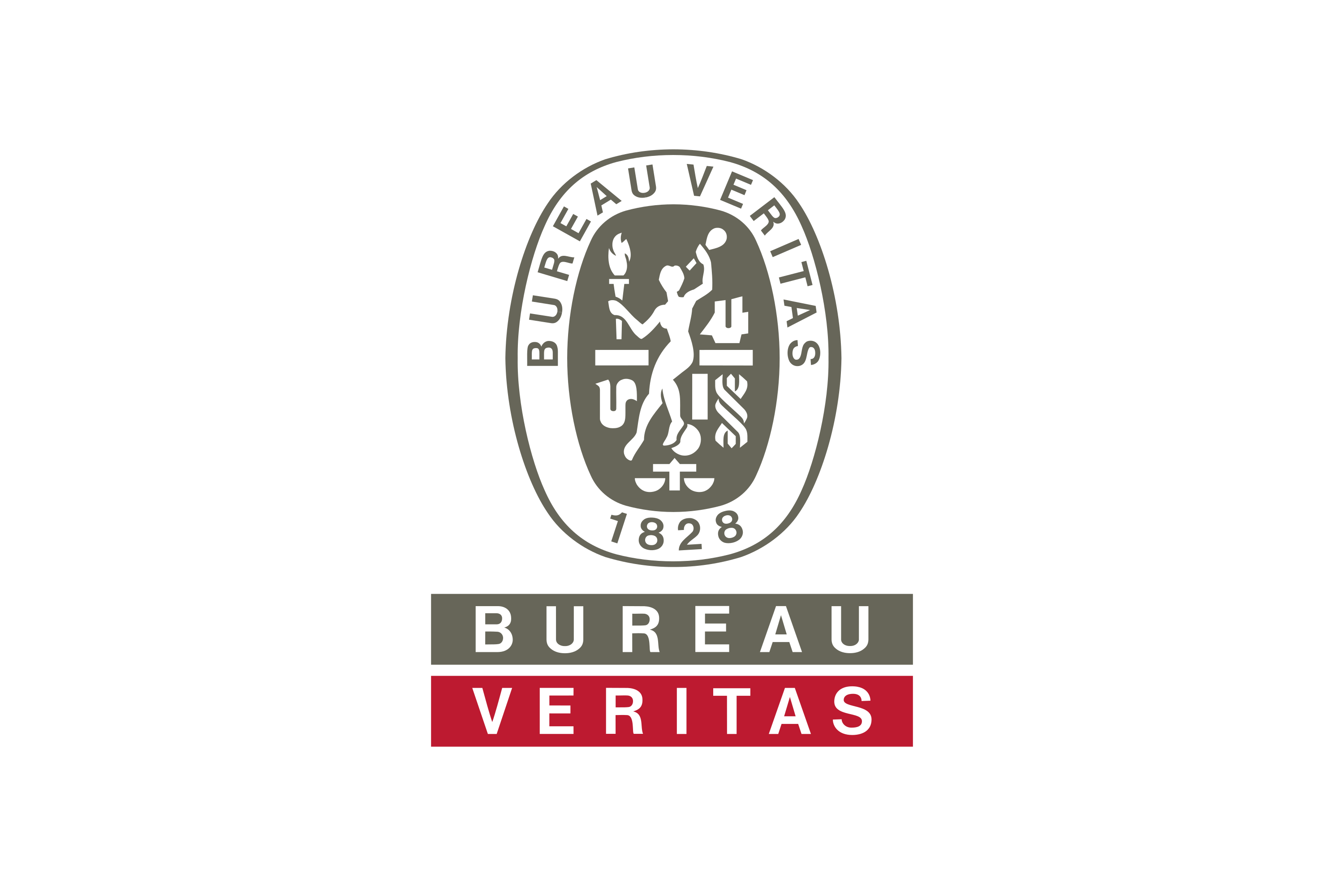 Bureau Veritas Logo PNG Download