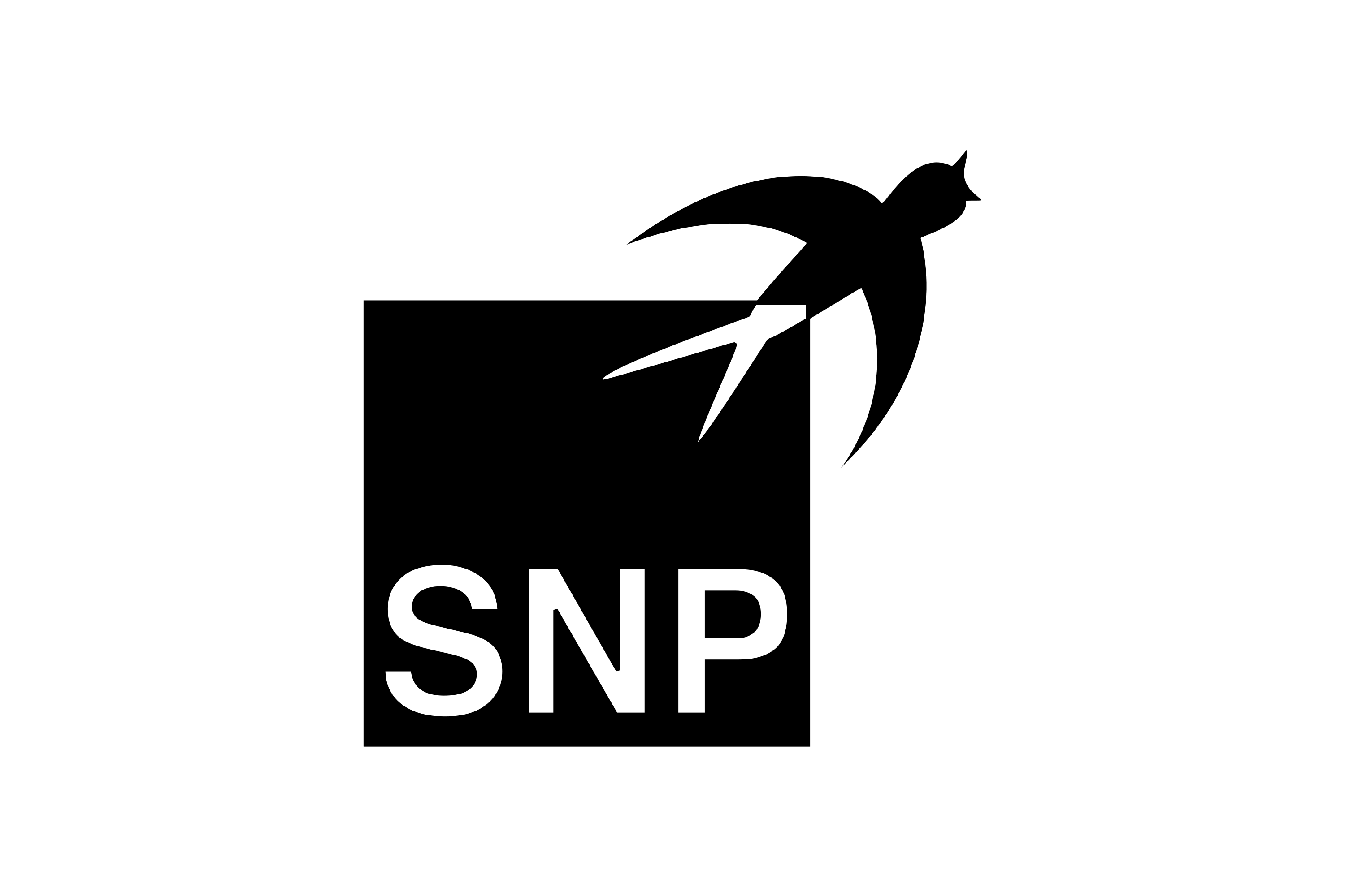 SNP Schneider Neureither & Partner SE Logo PNG Download