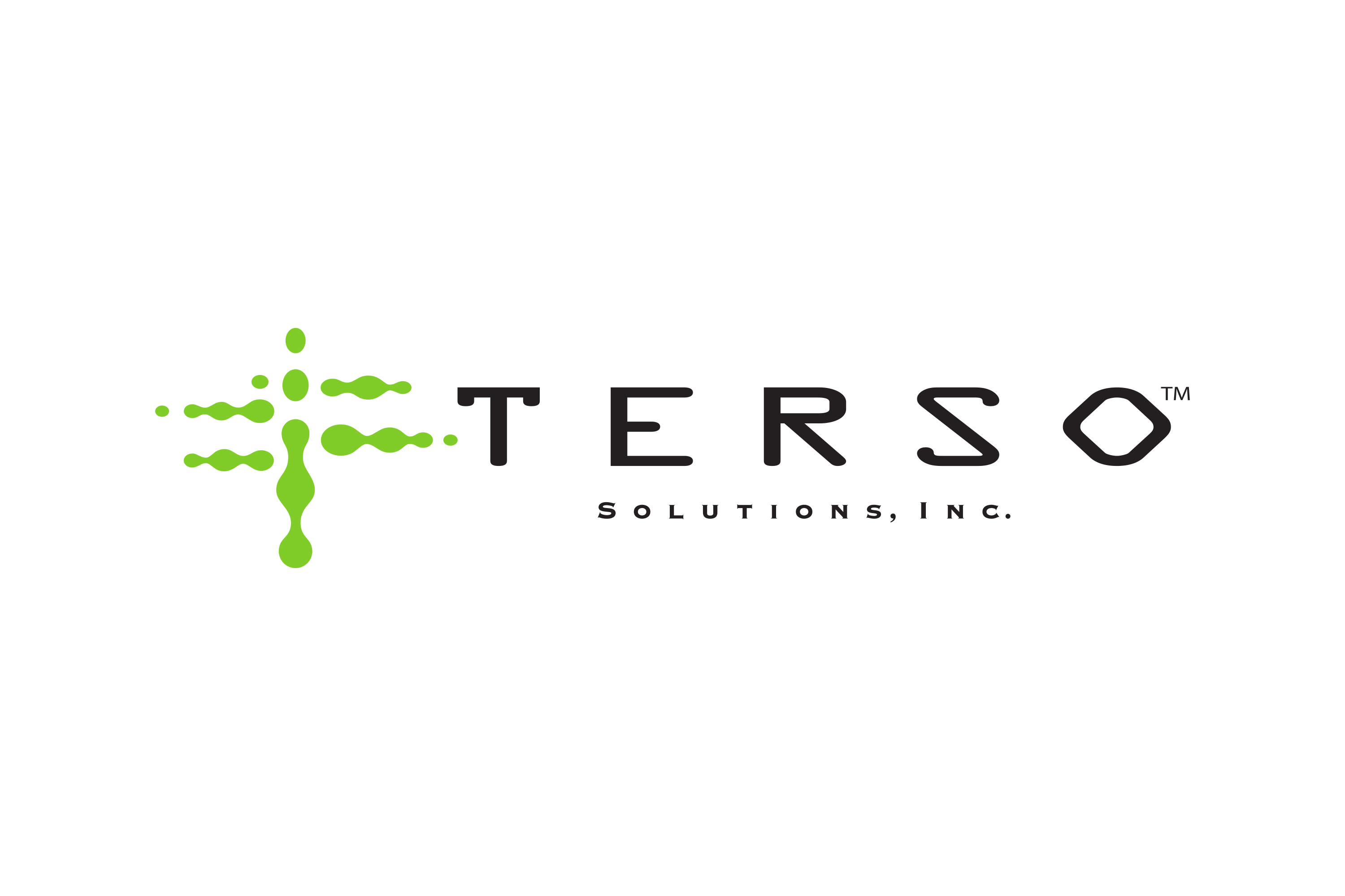 Terso Solutions Logo PNG Download