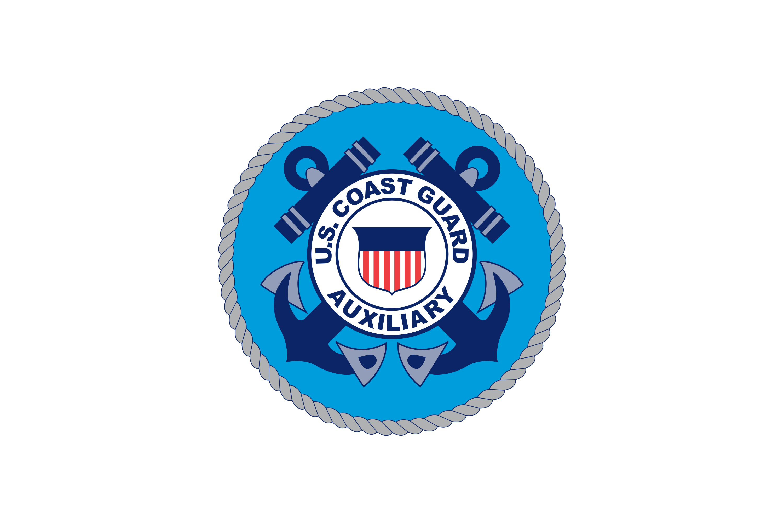 United States Coast Guard Auxiliary Logo