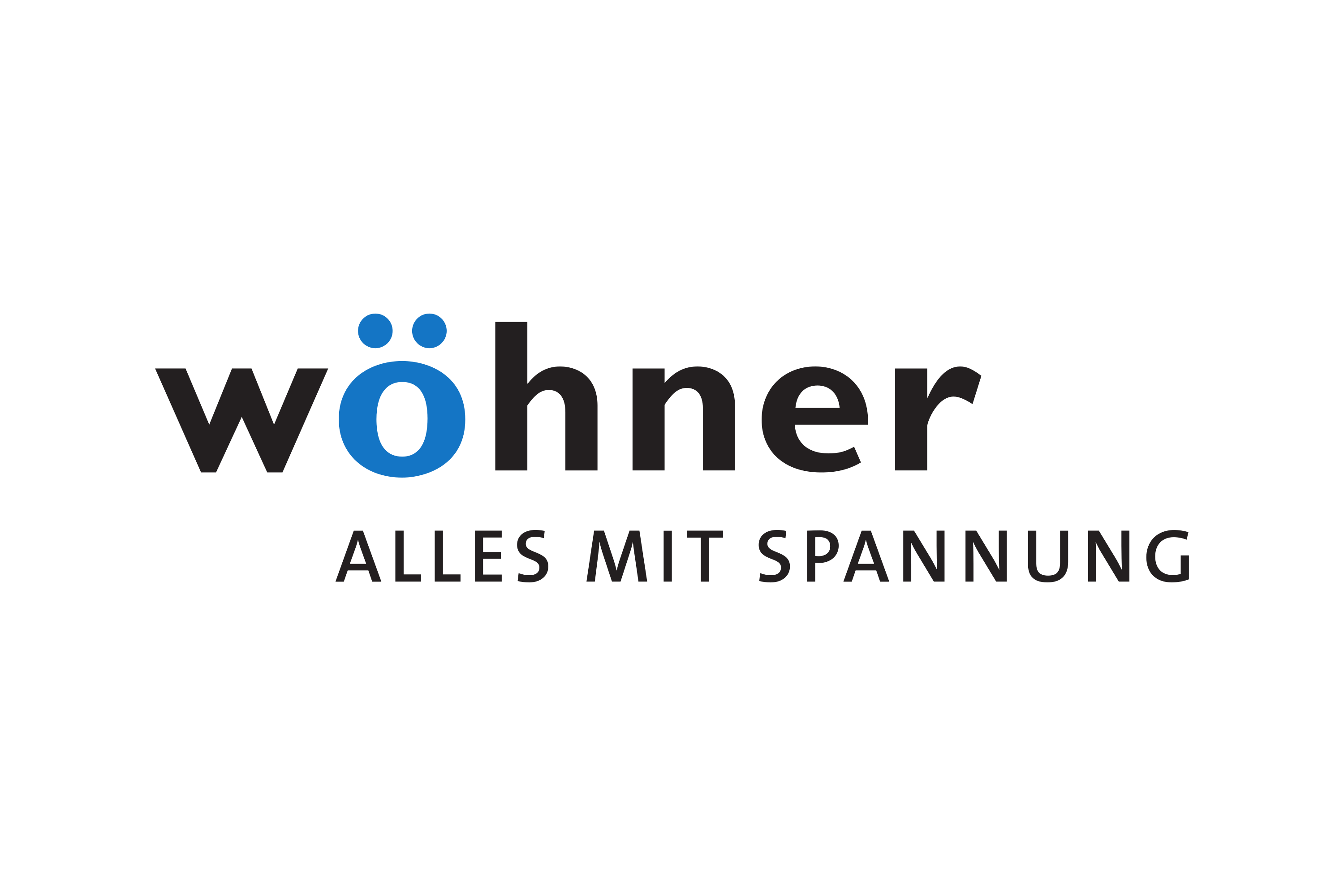 Wohner GmbH & Co. KG Logo PNG Download