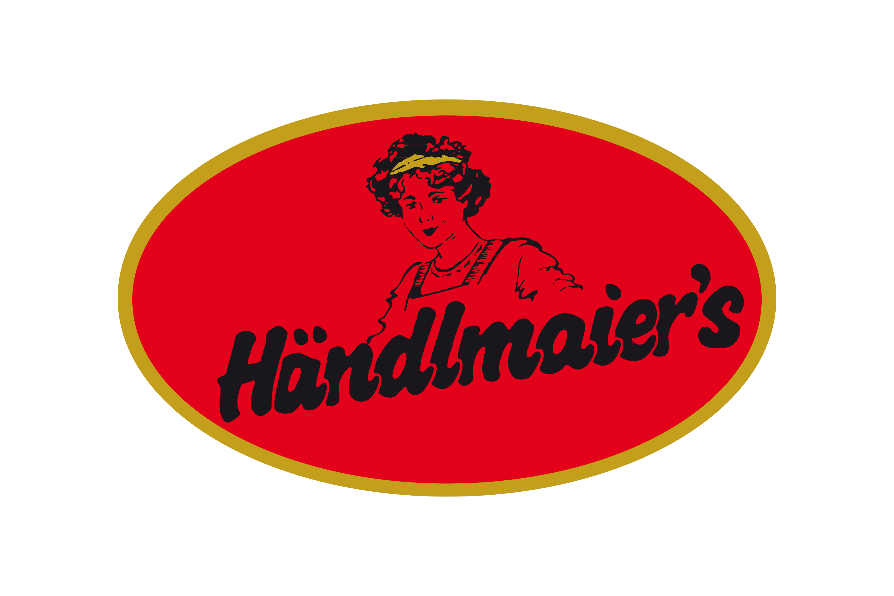 Handlmaier Logo
