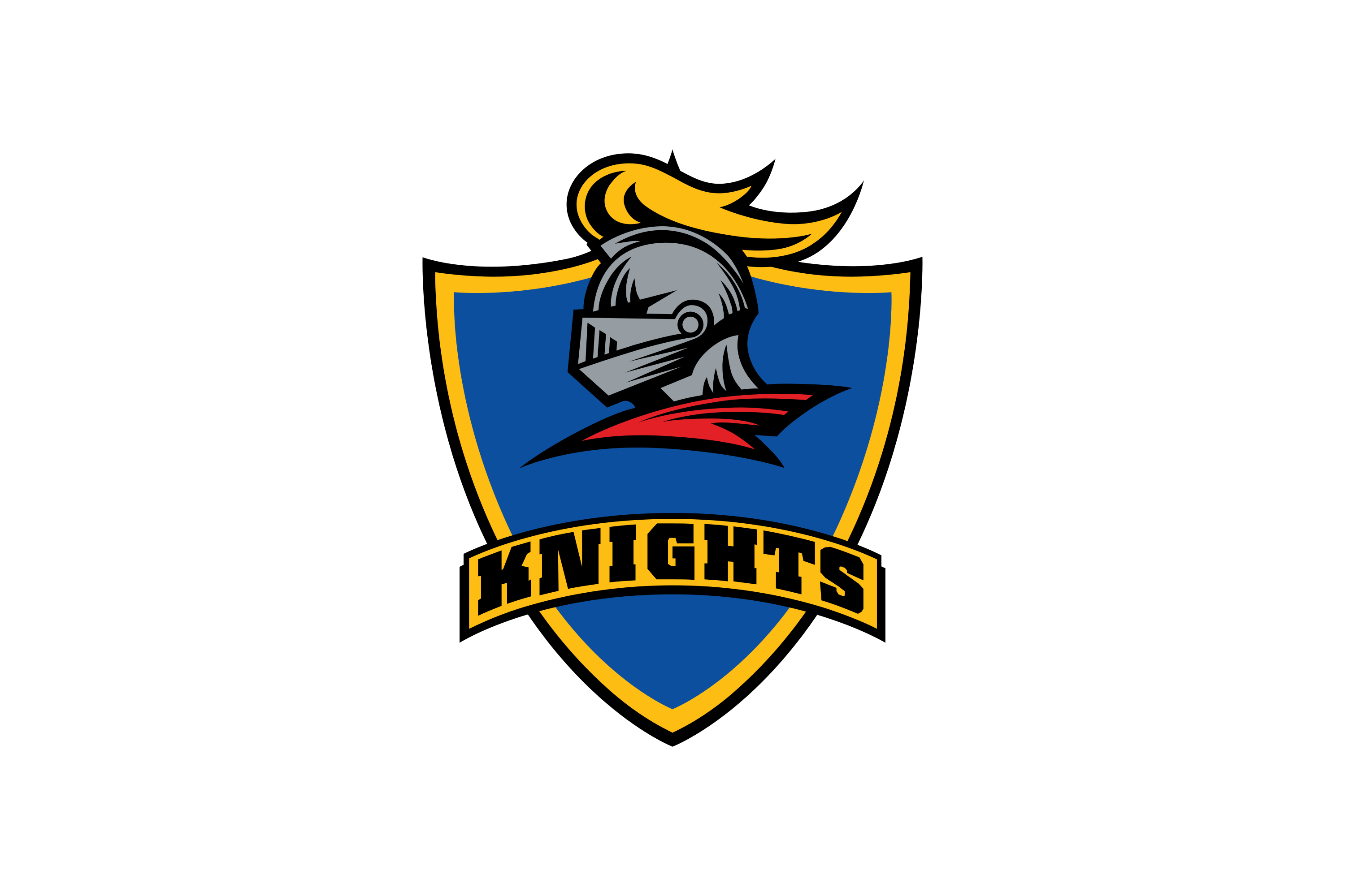 Knights Cricket Team Logo