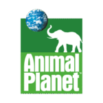 Animal Planet Logo PNG Download