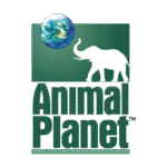 Animal Planet TV Logo PNG Download