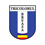CS Tricolorul Breaza Logo PNG Download