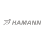 Hamann Motorsport Logo PNG Download