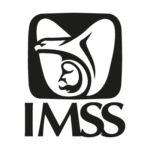IMSS Logo PNG Download