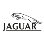Jaguar Racing Logo PNG Download