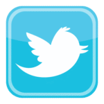 Twitter bird icon Logo PNG Download